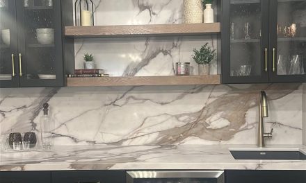 Custom wet bar, W/ Full Height Backsplash tall pantry soft closing glass doors with a 19 inch composite blanco volcano gray sin…