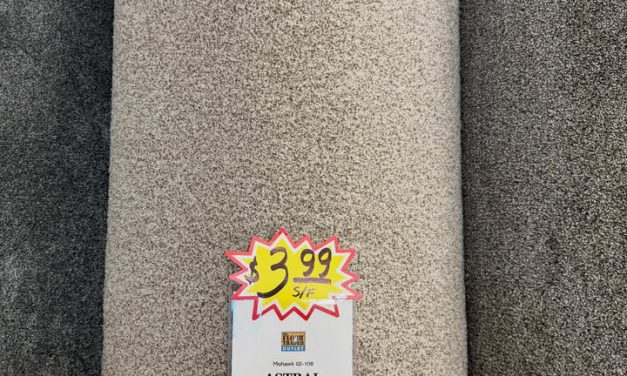 🚨 New Arrival 🚨 Mohawk 72 oz carpet now in stock!